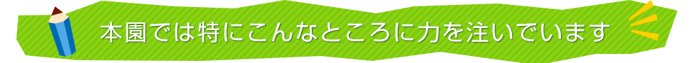 本園では特にこんなところに力を注いでいます